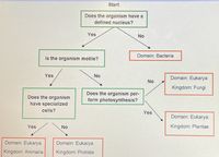 **Classification Flowchart for Organisms**

This flowchart is designed to help classify organisms into their respective domains and kingdoms based on specific biological characteristics. 

1. **Start**: 
   - **Question 1**: Does the organism have a defined nucleus?
     - **Yes**: Proceed to Question 2.
     - **No**: Classified under **Domain: Bacteria**.

2. **Question 2**: Is the organism motile (capable of movement)?
   - **Yes**: Proceed to Question 3.
   - **No**: Proceed to Question 4.

3. **Question 3**: Does the organism have specialized cells?
   - **Yes**: Classified under **Domain: Eukarya, Kingdom: Animalia**.
   - **No**: Classified under **Domain: Eukarya, Kingdom: Protista**.

4. **Question 4**: Does the organism perform photosynthesis?
   - **Yes**: Classified under **Domain: Eukarya, Kingdom: Plantae**.
   - **No**: Classified under **Domain: Eukarya, Kingdom: Fungi**.

This tool is a guide for educational purposes to help understand the basic classification of life based on cellular organization and functionality.