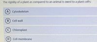The rigidity of a plant as compared to an animal is owed to a plant cell's:
A Cytoskeleton
Cell wall
c) Chloroplast
Cell membrane
