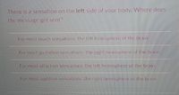 There is a sensation on the left side of your body. Where does
the message get sent?
For most touch sensations. the left hemisphere of the brain
For most gustation sensations, the right hemisphere of the brain
For most olfaction sensations, the left hemisphere of the brain
For most audition sensations, the right hemisphere of the brain
