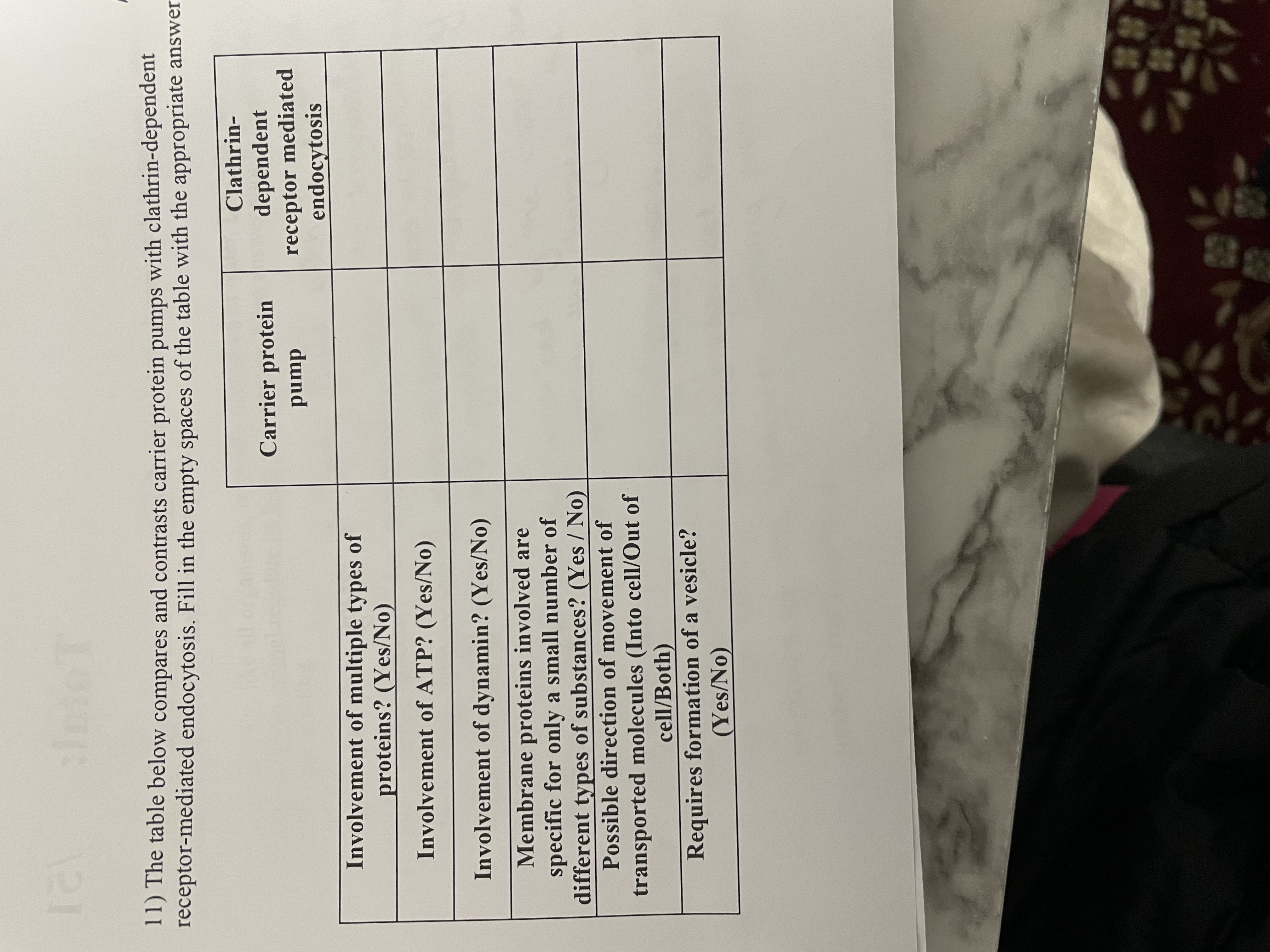 121
11) The table below compares and contrasts carrier protein pumps with clathrin-dependent
receptor-mediated endocytosis. Fill in the empty spaces of the table with the appropriate answer
Clathrin-
Carrier protein
dependent
receptor mediated
endocytosis
pump
Involvement of multiple types of
proteins? (Yes/No)
Involvement of ATP? (Yes/No)
Involvement of dynamin? (Yes/No)
Membrane proteins involved are
specific for only a small number of
different types of substances? (Yes / No)
Possible direction of movement of
transported molecules (Into cell/Out of
cell/Both)
Requires formation of a vesicle?
(Yes/No)
