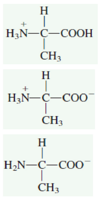 H
H3N-C-COOH
CH3
H
+
H3N-C-C0
CH3
H
H2N-C-C00
|
CH3
