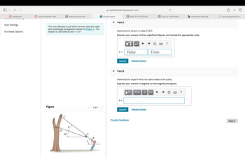 Dashboard
Course Modules: (MA...
P Pearson MyLab and...
User Settings
Purchase Options
mylabmastering.pearson.com
Course Home
P (MAE 271-03) (FA24)...
P Lecture 4 with Notes
b Homework Help and...
G how to screenshot on...
Part A
The man attempts to pull down the tree using the cable
and small pulley arrangement shown in (Figure 1). The
tension in AB is 80 lb and y = 27°.
Determine the tension in cable CAD.
Express your answer to three significant figures and include the appropriate units.
Figure
с
D
0
20°
1 of 1
A
B
о
με
?
T =
Value
Units
Submit
Request Answer
་
Part B
Determine the angle 0 which the cable makes at the pulley.
Express your answer in degrees to three significant figures.
0 =
ΕΠΙ ΑΣΦΗ
vec
Submit
Request Answer
Provide Feedback
?
о
Next >