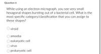 Question 6
While using an electron micrograph, you see very small
hexagonal shapes bursting out of a bacterial cell. What is the
most specific category/classification that you can assign to
these shapes?
viroid
amoeba
eukaryotic cell
virus
prokaryotic cell
