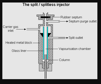 The split / splitless injector
-Rubber septum
+Septum purge outlet
Carrier gas
inlet
Split outlet
Heated metal block
Vapourisation chamber
Glass liner-
Column
