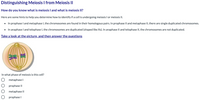 **Distinguishing Meiosis I from Meiosis II**

**How do you know what is meiosis I and what is meiosis II?**

Here are some hints to help you determine how to identify if a cell is undergoing meiosis I or meiosis II.

- In prophase I and metaphase I, the chromosomes are found in their homologous pairs. In prophase II and metaphase II, there are single duplicated chromosomes.

- In anaphase I and telophase I, the chromosomes are duplicated (shaped like Xs). In anaphase II and telophase II, the chromosomes are not duplicated.

**Take a look at the picture, and then answer the questions**

*Diagram Description:*
The diagram depicts a cell with chromosomes aligned at the metaphase plate, attached to spindle fibers extending from opposite poles. The chromosomes are arranged in pairs, suggesting homologous pairing.

**In what phase of meiosis is this cell?**
- ○ metaphase I
- ○ prophase II
- ○ metaphase II
- ○ prophase I