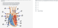 questions.
Which structure is carrying blood from the heart to the lungs?
A
• Black arrows indicate direction of blood flow
Blue structures contain deoxygenated blood
Red structures contain oxygenated blood
K
C
А-
В
В
None of these
D
N-
M-
K-
К
H-
