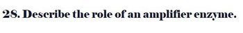 28. Describe the role of an amplifier enzyme.