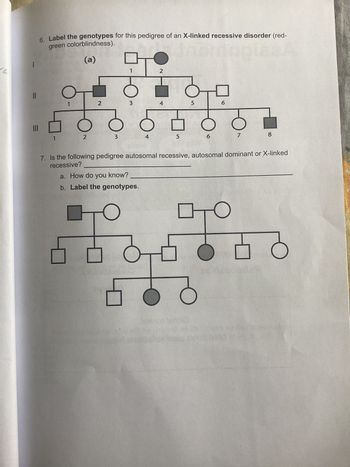 Answered: || 6. Label the genotypes for this… | bartleby