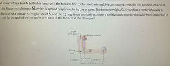 **Problem Description:**

A man holds a 164-N ball in his hand, with the forearm horizontal. He can support the ball in this position because of the flexor muscle force \( \vec{M} \), which is applied perpendicular to the forearm. The forearm weighs 23.7 N and has a center of gravity as indicated. 

**Tasks:**
- (a) Find the magnitude of \( \vec{M} \).
- (b) Find the magnitude and 
- (c) direction (as a positive angle counterclockwise from horizontal) of the force applied by the upper arm bone to the forearm at the elbow joint.

**Diagram Explanation:**

- A skeletal forearm is shown horizontally with a hand holding a ball.
- The forces acting are indicated with arrows:
  - **Flexor Muscle Force \( \vec{M} \):** Shown as a blue arrow perpendicular to the forearm, pointing upwards.
- Important measurements:
  - The distance from the elbow joint to the point of application of \( \vec{M} \) is 0.0510 m.
  - The distance from the elbow joint to the forearm's center of gravity is 0.0890 m.
  - The distance from the elbow joint to the point where the ball is held is 0.330 m.
  
This setup highlights the mechanics of balancing torques around the elbow joint to maintain the horizontal position.