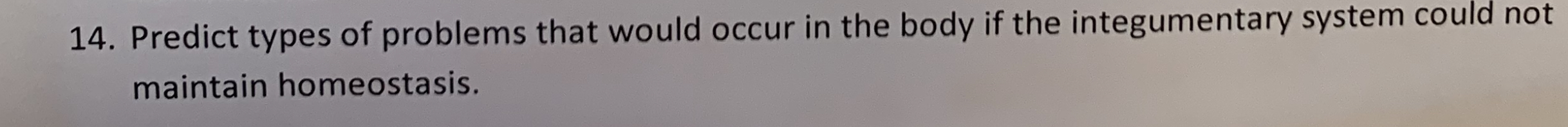 14. Predict types of problems that would occur in the body if the integumentary system could not
maintain homeostasis.
