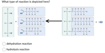 What type of reaction is depicted here?
H
H-C-OH
H=C=CH
H=C=CH
H
+
0.
HO
Ο.
HO
Ο
HO
Η Η Η Η
I 1 1 1
C-C-C-C-C-H
|
I
|
Η Η
I
Η Η
Η Η Η
T
Τ
C-C
Η Η
ΤΙΤ
C=C=C=C-H
….....
Η Η Η Η Η Η
Η Η Η Η Η
IIIII
C=C=C=C=C=C-H
Τ
H
Η
dehydration reaction
hydrolysis reaction
II
Η Η
Τ
Η
|
Ο H
I |
H=C=O-C=C=C=C-C-H
|
Ο Η
H=C=O=C=C
| I I
Η Η Η Η
H
Η Η Η
ΤΤΙ
T
Η
Τ
(
|
|
Η Η Η Η Η Η
I
Η
Τ
Η Η Η Η
ΤΙ T
C=C=C=C-H
IIII
Ο Η Η Η Η Η
| Τ..
H=C-0-C-C-C=C=C=C-H
II
Η Η
+ 3HO