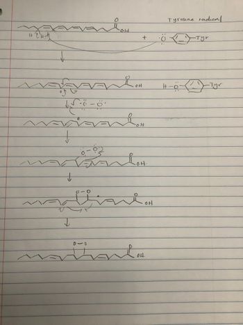 +
FIO
=11,2, +1
↑
↓
o
Tyrosine radical
Tyr
он
Tyr
HO.
OH.
OH
810
04