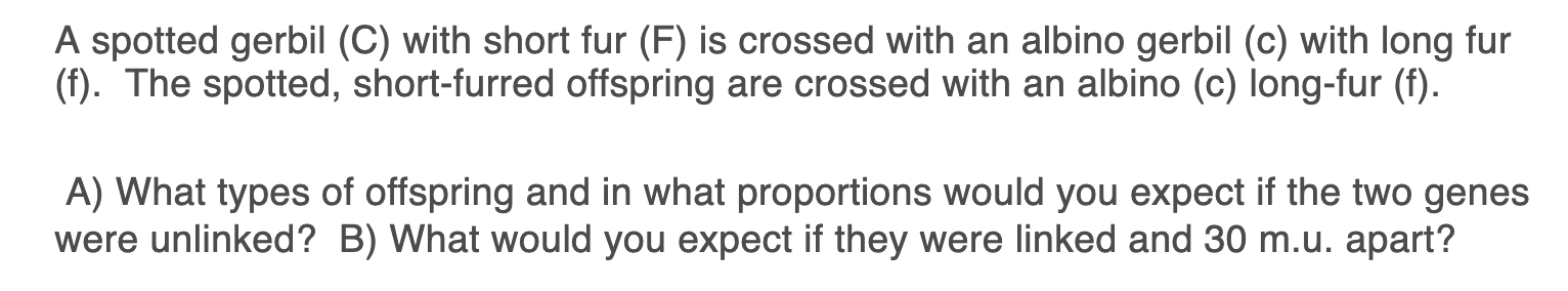 A spotted gerbil (C) with short fur (F) is crossed with an albino gerbil (c) with long fur
(f). The spotted, short-furred offspring are crossed with an albino (c) long-fur (f).
A) What types of offspring and in what proportions would you expect if the two genes
were unlinked? B) What would you expect if they were linked and 30 m.u. apart?
