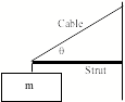 m
Cable
Strut