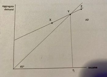 Aggregate
demand
45°
X
Y₁
Z
AD
Income