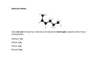 Answered Molecular Models Draw one view of these bartleby