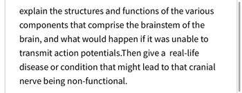 explain the structures and functions of the various
components that comprise the brainstem of the
brain, and what would happen if it was unable to
transmit action potentials.Then give a real-life
disease or condition that might lead to that cranial
nerve being non-functional.