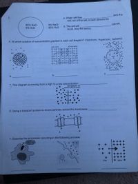 3.
(into the
a. Water will flow
cell, out of the cell, in bath directions).
95% NaCl
5% H2O
5% NaCl
95% H2O
b. The cell will
(shrink,
burst, stay the same).
4. At which solution of concentration gradient is each cell diagram? (Hypotonic, Hypertonic, Isotonic)
olo o 0,0 . 0• 0,0 0 o/0
Hypertonie Solution
a.
b.
5. This diagram is moving from a high to a low concentration:
MOVEMENT OF
WATER MOLECULES
6. Using a transport protein to move particles across the membrane:
7. Describe the processes occurring in the following pictures:
+ +
+ +++
++
++ ++ +
+ +++
LOW
+ HIGH +
