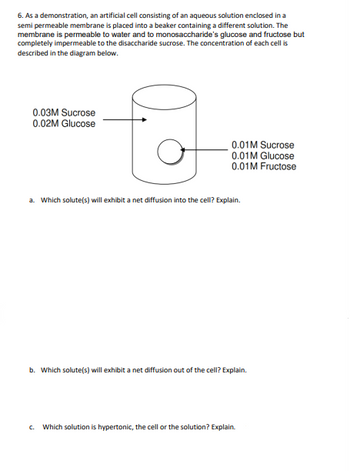 6. As a demonstration, an artificial cell consisting of an aqueous solution enclosed in a
semi permeable membrane is placed into a beaker containing a different solution. The
membrane is permeable to water and to monosaccharide's glucose and fructose but
completely impermeable to the disaccharide sucrose. The concentration of each cell is
described in the diagram below.
0.03M Sucrose
0.02M Glucose
0.01M Sucrose
0.01M Glucose
0.01M Fructose
a. Which solute(s) will exhibit a net diffusion into the cell? Explain.
b. Which solute(s) will exhibit a net diffusion out of the cell? Explain.
C. Which solution is hypertonic, the cell or the solution? Explain.