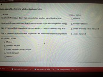 conline.austincc.edu/ultra/courses/_891351_1/cl/outline
8
Match each of the following with their best description:
Question
movement of molecule down their concentration gradient using kinetic energy
movement of water molecules down their concentration gradient using kinetic energy
type of transport that moves large macromolecules or cell structures requiring ATP
type of transport required to move large molecules down their concentration gradient
All Answer Choices
A. diffusion
B. facilitated diffusion
C. protein mediated active transport
D. vesicle transport
E. osmosis
ra....docx A
Biol 1406 - Pra....docx
Biol 1406 - LA....docx
Selected Match
A. diffusion
B. facilitated diffusion
C. protein mediated active transport
D. vesicle transport
CollegeScores2y....csv