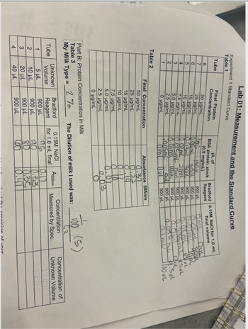 Table 2
Tube
1
2
Experiment 1 Standard Curve
Table 1
Tube
3
8
7
Part B: Protein
Table 3
My Milk Type =
4
6
5
4
3
2
1
Lab 01: Measurement and the Standard Curve
5 μL
10 μL
20 μL
40 μL
Final Protein
Concentration
Unknown
Volume
50 ug/ml.
25 µg/mL
15 µg/ml
10 ug/mL
Final Concentration
50 µg/mL
25 µg/mL
7.5 μg/ml
5.0 µg/mL
2.5 ug/mL.
0 ug/ml.
15 µg/mL
10 µg/mL
7.5 µg/mL
5.0 ug/mL
2.5 µg/mL
0 µg/mL
Bradford
Reagent
Concentration in Milk
2%
900 μL
900 μL
900 μL
900 μL
μL of
BSA protein stock
(0.5 mg/mL)
INOL
Idm
10.05
10.02.
10.02mL
10.415ml
16.07ml
GoosmL
SOAL
30TL
20UL
Kus
10AM
Oml Out
Bradford 0.15M NaCl for 1.0 mL
Reagent
final volume
900 pl
900 μL
900 μL
SUL 900 μL
900 μL
0.15M NaCl
for 1.0 mL final
as
Absorbance 595mm
0.31
8.07
900 UL
900 μL
900 μL
0.03
The Dilution of milk I used was:
Asasem
10.11
10.33
10.35
10.411
O.OSAL SOUL
0.07ml 1001
0.08 ML
oorsmL SUL
Obal
100
Concentration
Measured by Spec.
(5)
sion of your
بالای سایت
FOOUL
Concentration of
Unknown Volume
na