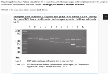 Answered The gel image below shows 7 alleles bartleby