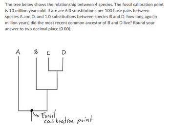 The tree below shows the relationship between 4 species. The fossil calibration point
is 13 million years old. If are are 6.0 substitutions per 100 base pairs between
species A and D, and 1.0 substitutions between species B and D, how long ago (in
million years) did the most recent common ancestor of B and D live? Round your
answer to two decimal place (0.00).
A
B
с
D
・Fossil.
calibration point