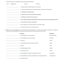 1. Use the key terms to identify the joint types described below.
Key: cartilaginous
fibrous
synovial
1. typically allow a slight degree of movement
2. include joints between the vertebral bodies and the pubic symphysis
3. essentially immovable joints
4. sutures are the most remembered examples
5. cartilage connects the bony portions
6. have a fibrous articular capsule lined with a synovial membrane surrounding a joint cavity
7. all are freely movable or diarthrotic
8. bone regions are united by fibrous connective tissue
9. include the hip, knee, and elbow joints
2. Match the joint subcategories in column B with their descriptions in column A, and place an asterisk (*) beside all
choices that are examples of synovial joints. (Some terms may be used more than once.)
Column A
Column B
1. joint between most skull bones
ball-and-socket
2. joint between the axis and atlas
condylar
3. hip joint
plane
4. joint between forearm bones and wrist
hinge
5. elbow
pivot
6. interphalangeal joints
saddle
7. intercarpal joints
suture
8. joint between the skull and vertebral column
symphysis
9. joints between proximal phalanges and metacarpal bones
syndesmosis
10. multiaxial joint
