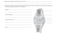 Answered: 3. What characteristics do all joints… | bartleby