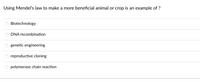 Using Mendel's law to make a more beneficial animal or crop is an example of ?
Biotechnology
DNA recombination
genetic engineering
reproductive cloning
polymerase chain reaction
