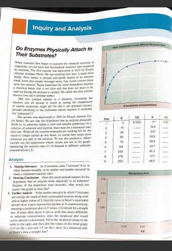 **Inquiry and Analysis: Do Enzymes Physically Attach to Their Substrates?**

When scientists first began to examine the chemical activities of organisms, no one knew that biochemical reactions were catalyzed by enzymes. The first enzyme was discovered in 1833 by French chemist Anselme Payen. He was studying how beer is made from barley: First, barley is pressed and gently heated so its starches break down into simple two-sugar units; then yeasts convert these units into ethanol. Payen found that the initial breakdown requires a chemical factor that is not alive and that does not seem to be used up during the process—a catalyst. He called this first enzyme diastase (we call it amylase today).

Did this catalyst operate at a distance, increasing the reaction rate all around it, much as raising the temperature of nearby molecules might do? Or did it use physical contact, actually attaching to the molecules whose reaction it catalyzed (its “substrate”)?

The answer was discovered in 1903 by French chemist Victor Henri. He saw that the hypothesis that an enzyme physically binds to its substrate makes a clear and testable prediction: In a solution of substrate and enzyme, there must be a maximum reaction rate. When all the enzyme molecules are working full tilt, the reaction simply cannot go any faster, no matter how much more substrate you add to the solution. To test this prediction, Henri carried out the experiment whose results you see in the graph, measuring the reaction rate (V) of diastase at different substrate concentrations (S).

**Analysis**

1. **Making Inferences**: As S increases, does V increase? If so, in what manner—steadily, or by smaller and smaller amounts? Is there a maximum reaction rate?

2. **Drawing Conclusions**: Does this result provide support for the hypothesis that an enzyme binds physically to its substrate? Explain. If the hypothesis were incorrect, what would you expect the graph to look like?

3. **Further Analysis**: If the smaller amounts by which V increases are strictly the result of fewer unoccupied enzymes being available at higher values of S, then the curve in Henri’s experiment should show a pure exponential decline in V—mathematically, meaning a reciprocal plot (1/V versus 1/S) should be a straight line. If some other factor is also at work that reacts differently to substrate concentration, then the reciprocal plot would curve upward or downward.