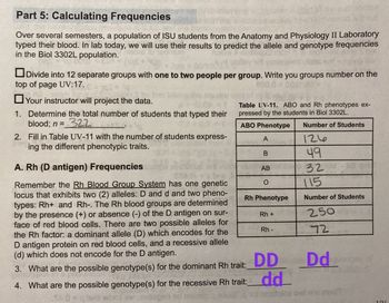 Part 5: Calculating Frequencies
Siltied
Over several semesters, a population of ISU students from the Anatomy and Physiology II Laboratory
typed their blood. In lab today, we will use their results to predict the allele and genotype frequencies
in the Biol 3302L population.
Divide into 12 separate groups with one to two people per group. Write you groups number on the
top of page UV:17.
Your instructor will project the data.
1. Determine the total number of students that typed their
blood; n = 322
2. Fill in Table UV-11 with the number of students express-
ing the different phenotypic traits.
A. Rh (D antigen) Frequencies
Remember the Rh Blood Group System has one genetic
locus that exhibits two (2) alleles: D and d and two pheno-
types: Rh+ and Rh-. The Rh blood groups are determined
by the presence (+) or absence (-) of the D antigen on sur-
face of red blood cells. There are two possible alleles for
the Rh factor: a dominant allele (D) which encodes for the
D antigen protein on red blood cells, and a recessive allele
(d) which does not encode for the D antigen.
Table UV-11. ABO and Rh phenotypes ex-
pressed by the students in Biol 3302L.
ABO Phenotype
A
B
elu AB
O
Rh Phenotype
Rh +
hbs
Rh-
DD
3. What are the possible genotype(s) for the dominant Rh trait:_
4. What are the possible genotype(s) for the recessive Rh trait: dd
Number of Students
ما12
49
32
115
Number of Students
250
72
Dd
UN
tulbs owt ens ens
LIV