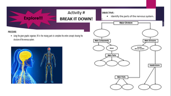 Activity #
BREAK IT DOWN!
Explore!!!
PROCEDURE:
·
Using the given graphic organizer, fill in the missing parts to complete the entire concept showing the
structure of the nervous system.
OBJECTIVE:
에어
Main Componentt
Identify the parts of the nervous system.
Major Division
Main Divisions
pag
Brain
Main Parts
Main Parts
Somadc
Narva S
Subdivisions
I