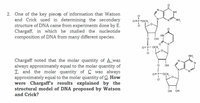 N.
NH
2. One of the key pieces of information that Watson
and Crick used in determining the secondary
structure of DNA came from experiments done by E.
Chargaff, in which he studied the nucleotide
composition of DNA from many different species.
O=P-OCH,
N.
`NH,
HN
он
O= P- OCH,
NH,
Chargaff noted that the molar quantity of A_was
always approximately equal to the molar quantity of
T. and the molar quantity of C was always
approximately equal to the molar quantity of G. How
were Chargaff's results explained by the
structural model of DNA proposed by Watson
and Crick?
N
OH
N.
O= P-OCH,
OH
OH
