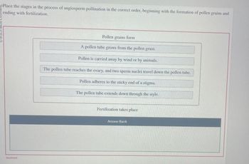 Place the stages in the process of angiosperm pollination in the correct order, beginning with the formation of pollen grains and
ending with fertilization.
Incorrect
Pollen grains form
A pollen tube grows from the pollen grain.
Pollen is carried away by wind or by animals.
The pollen tube reaches the ovary, and two sperm nuclei travel down the pollen tube.
Pollen adheres to the sticky end of a stigma.
The pollen tube extends down through the style.
Fertilization takes place
Answer Bank