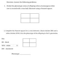 Direction: Answer the following problems:
1. Predict the phenotypic ratios of offspring when a homozygous white
cow is crossed with a roan bull. Illustrate using a Punnett square.
2. Complete the Punnett square for a cross between a black chicken (BB) and a
white chicken (WW). Give the phenotype of the offspring in the F1 generation.
Кey
BB – black
ww- white
F1
BW – checkered
Phenotype:
