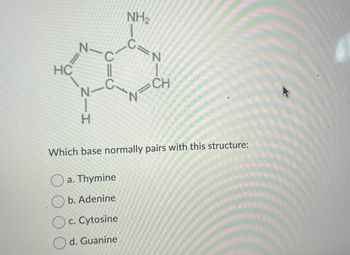 N
C
N
HC
C
GH
CH
N
H
Which base normally pairs with this structure:
a. Thymine
b. Adenine
c. Cytosine
d. Guanine