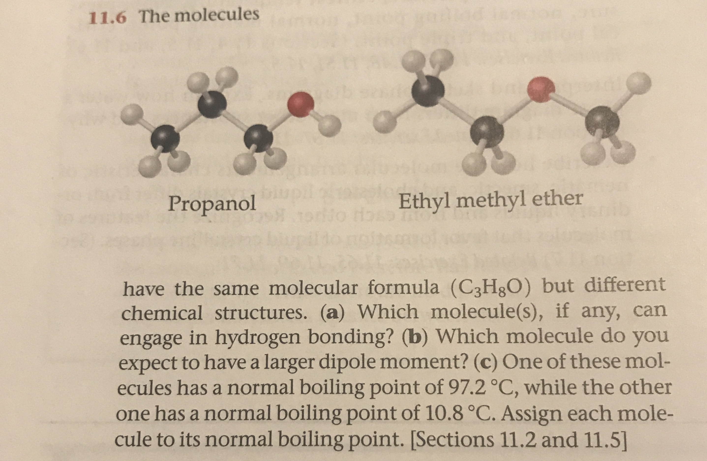 Answered 116 The Molecules Ethyl Methyl Ether Bartleby
