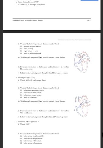 a. Patent Ductus Arteriosus (PDA)
i. What is PDA with right to left shunt?
"The Breathless Heart" by Broadbelt, Sawhney, & Young
Page 3
NATIONAL CENTER FOR CASE STUDY TEACHING IN SCIENCE
ii. Which of the following options is the new route for blood?
(a) coronary arteries → aorta
(b) aorta → body
(c) right atrium → aorta
(d) aorta → pulmonary trunk
iii. Would enough oxygenated blood enter the systemic circuit? Explain.
iv. Use an arrow to indicate on the flowchart used in Question 5 above where
PDA would occur.
v. Indicate on the heart diagram to the right where PDA would be present:
b. Atrial Septal Defect (ASD)
i. What is ASD with a left to right shunt?
ii. Which of the following options is the new route for blood?
(a) left atrium → coronary arteries
(b) left ventricle → left atrium
(c) left atrium → right atrium
(d) aorta → left atrium
iii. Would enough oxygenated blood enter the systemic circuit? Explain.
iv. Use an arrow to indicate on the flowchart used in Question 5 above where
ASD would occur.
v. Indicate on the heart diagram to the right where ASD would be present:
c. Ventricular Septal Defect (VSD)
i. What is VSD?
ii. Which of the following options is the new route for blood?
(a) left ventricle → right ventricle
(b) left ventricle → right atrium
(c) left ventricle → left atrium
(d) left ventricle → heart tissue