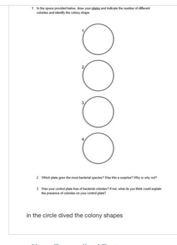 1. In the space provided below, draw your plates and indicate the number of different
colonies and identify the colony shape.
oooo
2. Which plate grew the most bacterial species? Was this a surprise? Why or why not?
3. Was your control plate free of bacterial colonies? If not, what do you think could explain
the presence of colonies on your control plate?
in the circle dived the colony shapes