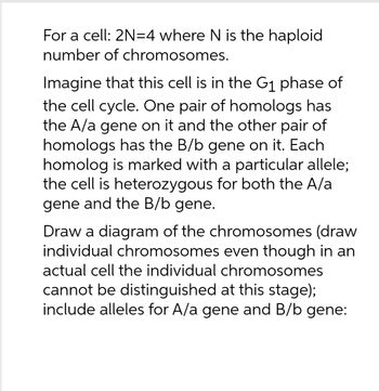 Answered: For A Cell: 2N=4 Where N Is The Haploid… | Bartleby