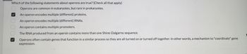 Which of the following statements about operons are true? (Check all that apply)
Operons are common in eukaryotes, but rare in prokaryotes.
An operon encodes multiple (different) proteins.
An operon encodes multiple (different) RNAs.
An operon contains multiple promoters.
The RNA produced from an operón contains more than one Shine-Dalgarno sequence.
Operons often contain genes that function in a similar process so they are all turned on or turned off together. In other words, a mechanism to "coordinate" gene
expression.