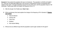 **Scenario 2:**

Imagine the predatory fish was not introduced. The initial population consists of 20,000 individuals, with the frequency of allele B being 0.5. There are no observable differences in survival or reproductive success linked to individuals' spots. Following a drought, the pond size significantly decreases, leaving a population of only 100 individuals. Twenty years post-drought, the frequency of allele B becomes 1.0.

A. After the drought, the R allele was ( **fixed** / lost ).

B. Which evolutionary force best explains the change in the frequency of R in Scenario 2? **Explain your choice.**

   a. Natural selection  
   b. Genetic drift  
   c. Gene flow  
   d. Mutation  
   e. Non-random mating  

C. What are two (2) different ways that the population could regain variation for this gene?