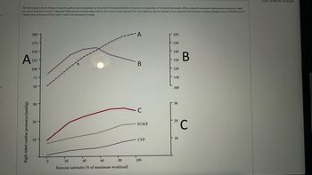 on
The below graph shows changes in several cardiovascular parameters as the result of increased intensity of exercise in a population of untrained individuals. What commonly measured cardiovascular parameters might
the curves labeled A, B, and C represent? What are the corresponding units for the y-axis of each measure? For your reference, the two labeled curves represent the Pulmonary Capillary Wedge Pressure (PCWP) and the
Central Venous Pressure (CVP), both of which are measured in mmHg.
200
Right sided cardiac pressures (mmHg)
175
150-
A 125
100
75
50
30
20
10 -
0
20
40
60
80
Exercise intensity (% of maximum workload)
A
B
- C
PCWP
CVP
100
160
150
140
130
120
110
100
30
20
10
B
C
1 Hour, 29 Minutes, 18 Seconds