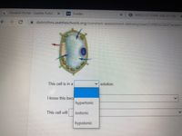 Student Portal - Seattle Public
SIS Grades
S WRLD LIT COMP 10A: S1 1(A)
districtIms.seattleschools.org/common-assessment-delivery/start/5398502362?action=
This cell is in a
v solution.
I know this bec
hypertonic
This cell will
isotonic
hypotonic
