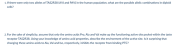 1. If there were only two alleles of TAS2R38 (AVI and PAV) in the human population, what are the possible allelic combinations in diploid
cells?
2. For the sake of simplicity, assume that only the amino acids Pro, Ala and Val make up the functioning active site pocket within the taste
receptor TAS2R38. Using your knowledge of amino acid properties, describe the environment of the active site. Is it surprising that
changing these amino acids to Ala, Val and Iso, respectively, inhibits the receptor from binding PTC?