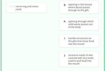 nerve ring and nerve
cords
g. opening in the tissues
where blood passes
through to the gills
h. opening through which
solid waste passes out
of the body
i. hairlike structures on
the gills that move food
into the mouth
j. structure made of skin
covered with tiny teeth,
used to pull food into
the mouth