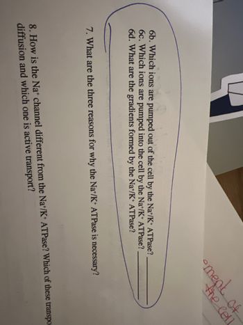 6b. Which ions are pumped out of the cell by the Na/K* ATPase?
6c. Which ions are pumped into the cell by the Na+/K+ ATPase?
6d. What are the gradients formed by the Na+/K+ ATPase?
•ment of
the cell
7. What are the three reasons for why the Na+/K+ ATPase is necessary?
8. How is the Na+ channel different from the Na+/K+ ATPase? Which of these transpo
diffusion and which one is active transport?