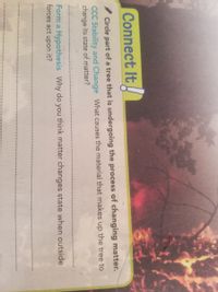 Connect It!
/ Circle part of a tree that is undergoing the process of changing matter.
CCC Stability and Change What causes the material that makes up the tree to
change its state of matter?
Form a Hypothesis Why do you think matter changes state when outside
forces act upon it?

