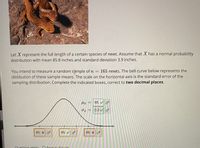 Let X represent the full length of a certain species of newt. Assume that X has a normal probability
distribution with mean 85.8 inches and standard deviation 3.9 inches.
165 newts. The bell curve below represents the
You intend to measure a random simple of n
distibution of these sample means. The scale on the horizontal axis is the standard error of the
sampling distribution. Complete the indicated boxes, correct to two decimal places.
85. V o
0.3 /
85. Xo
85. V o
86. X o
Question Help: O Post to forum
